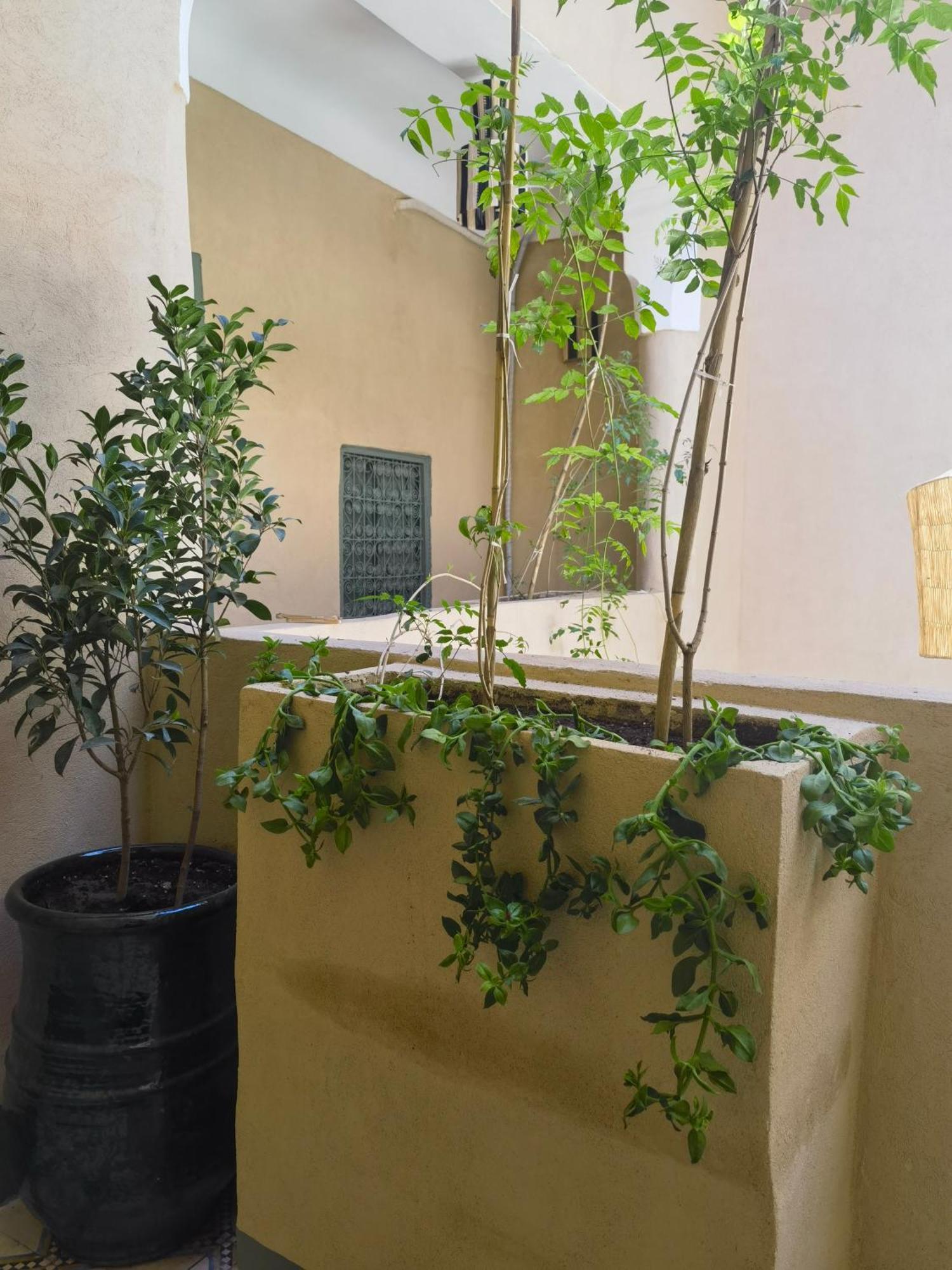 Medina Oasis Hostel Marrakesh Exterior photo
